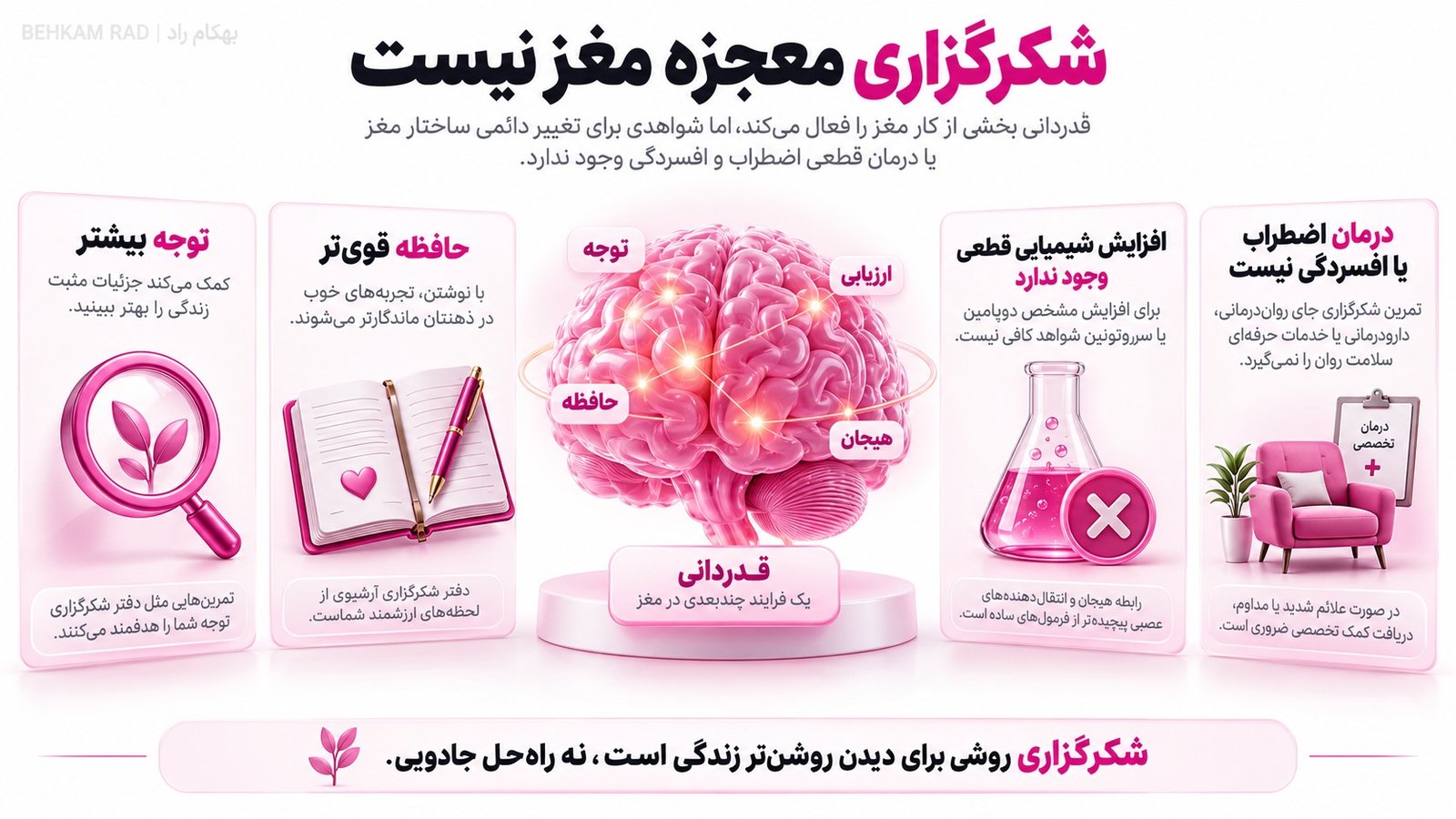 نوروساینس شکرگزاری، مغز هنگام قدردانی چه میکند؟