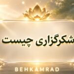 شکرگزاری چیست