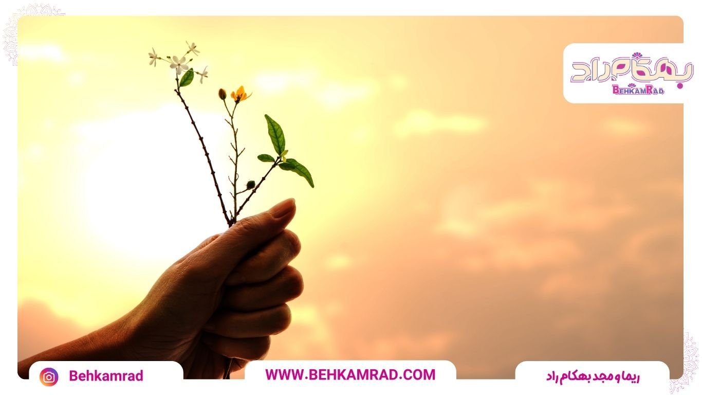 فواید شکرگزاری برای انسان (3)