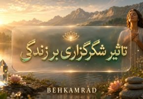 تاثیر شکرگزاری بر زندگی