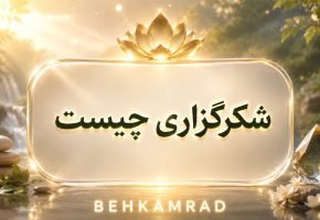 شکرگزاری چیست